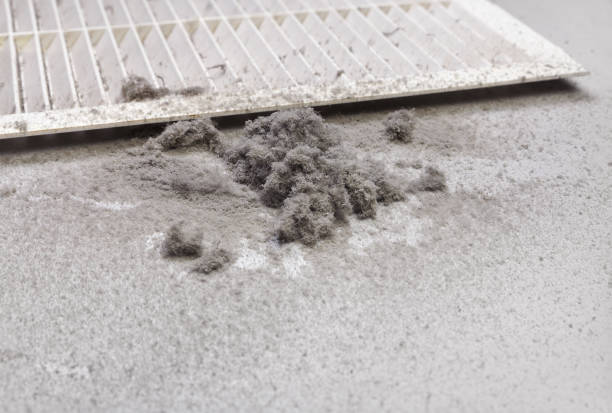 Best Air Duct Cleaning Near Me  in Hodgkins, IL