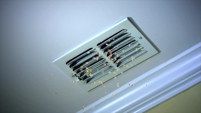 Best Air Vent Cleaning Services  in Hodgkins, IL