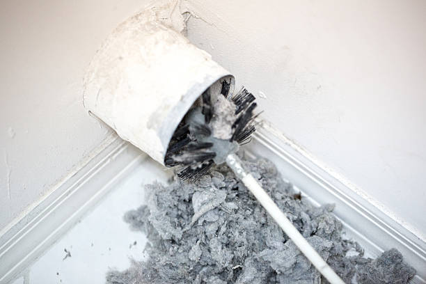 Best HVAC Air Duct Cleaning  in Hodgkins, IL