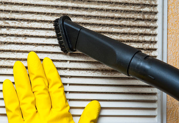 Best Air Duct Cleaning Company Near Me  in Hodgkins, IL